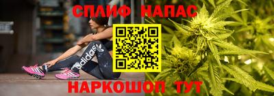 Альфа ПВП Гусев
