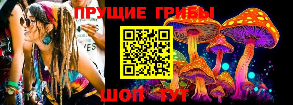 Псилоцибиновые грибы мицелий  Вход с VPN  Обнинск  Псилоцибиновые грибы Psilocybine cubensis 