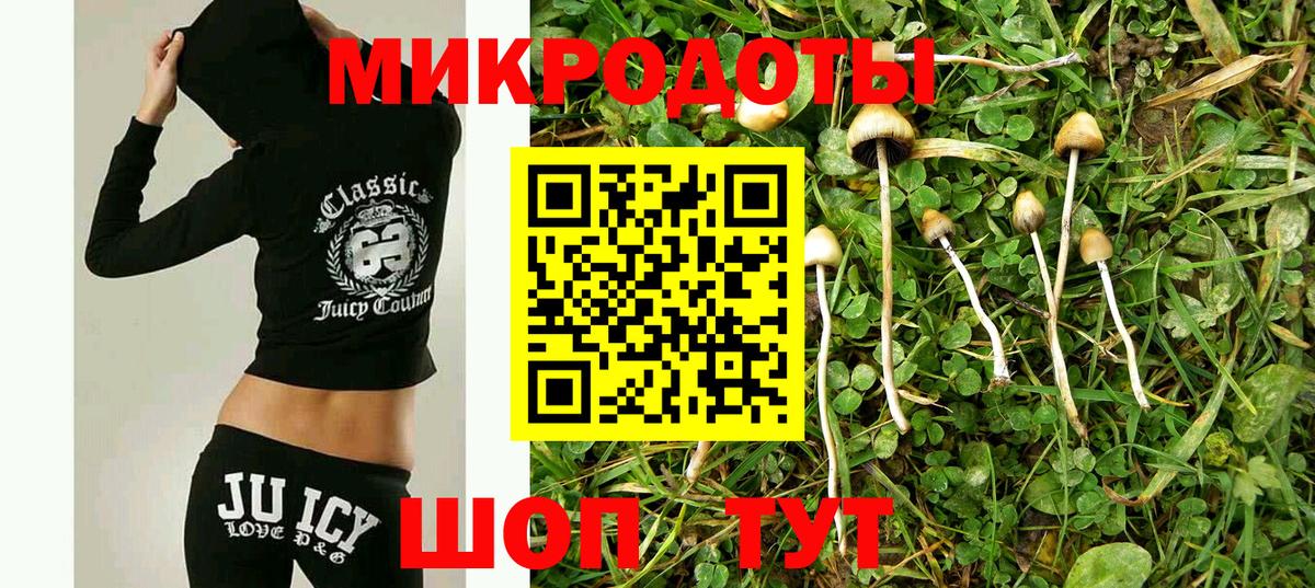 Псилоцибиновые грибы Psilocybine cubensis Обнинск